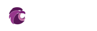Logo Birdix